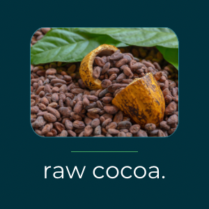 Raw cocoa powder