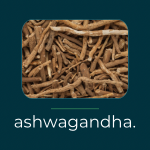 Ashwagandha supplements
